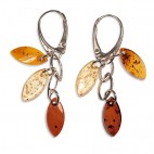 Boucles d'oreilles ambre Mambo